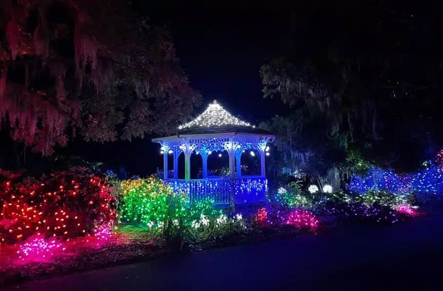 December Nights and Holiday Lights at Coastal Georgia Botanical Gardens