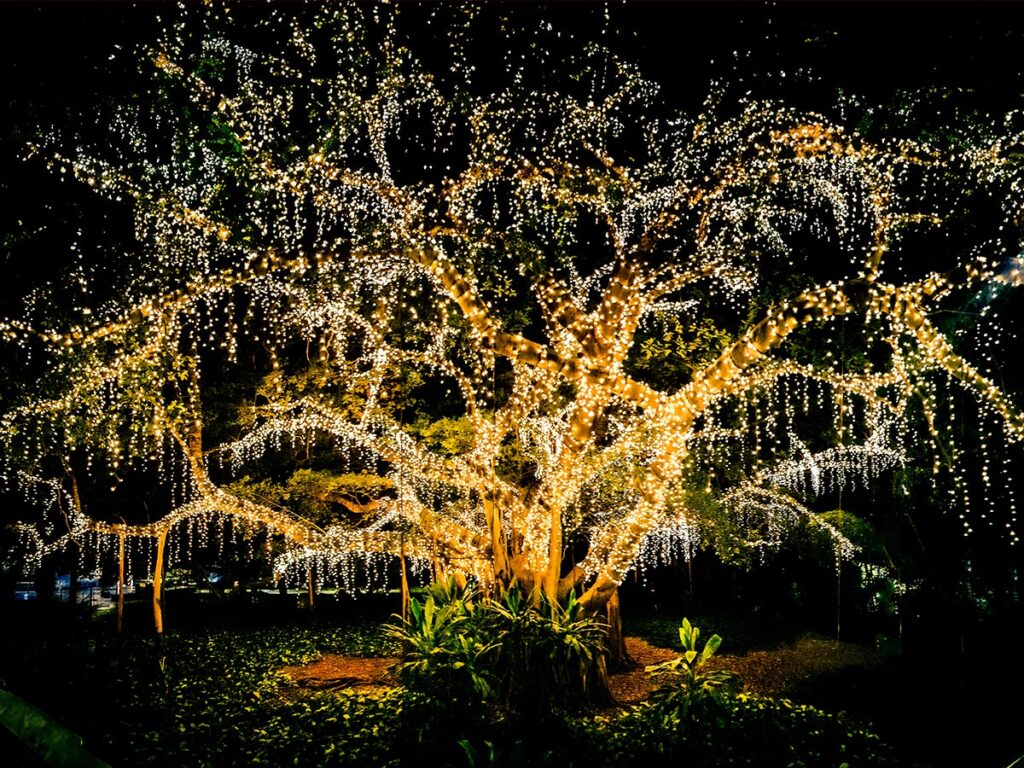 December Nights & Holiday Lights at Coastal Georgia Botanical Gardens