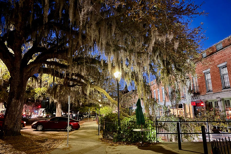 evening in the Savannah Historic District