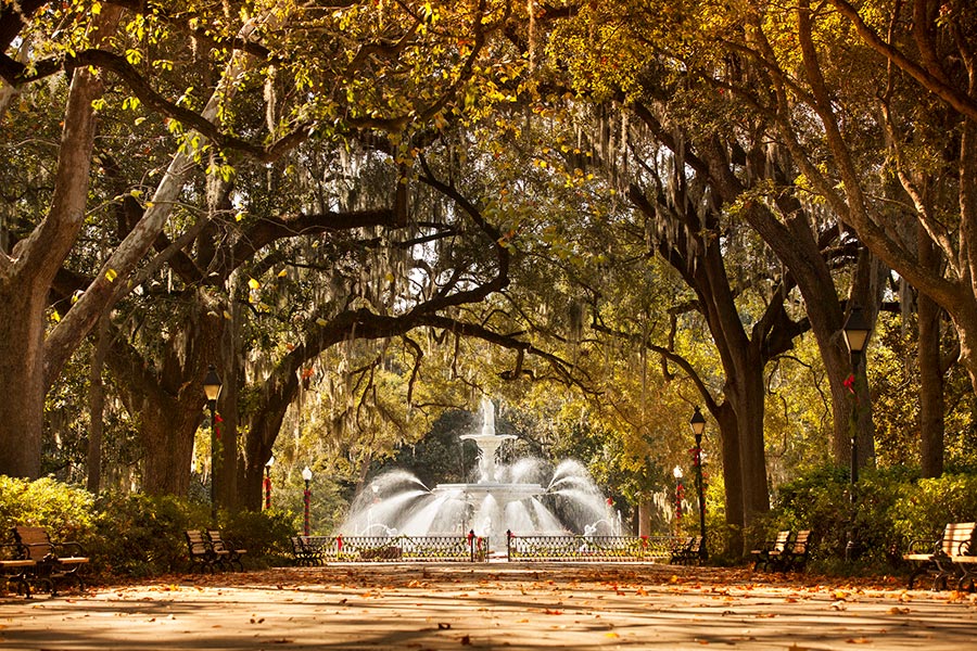 Forstyh Park in fall
