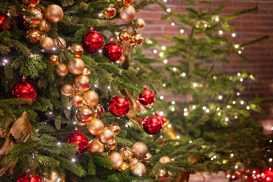 Savannah's annual Festival of Trees